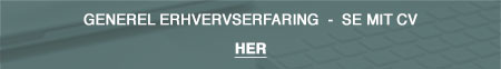 CV Majken G Sørensen